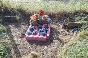 Cementerio de Mascotas Quilpu&eacute;