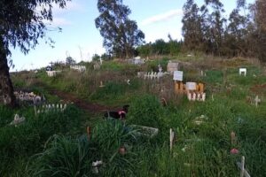 Cementerio Huellitas, Mulchén