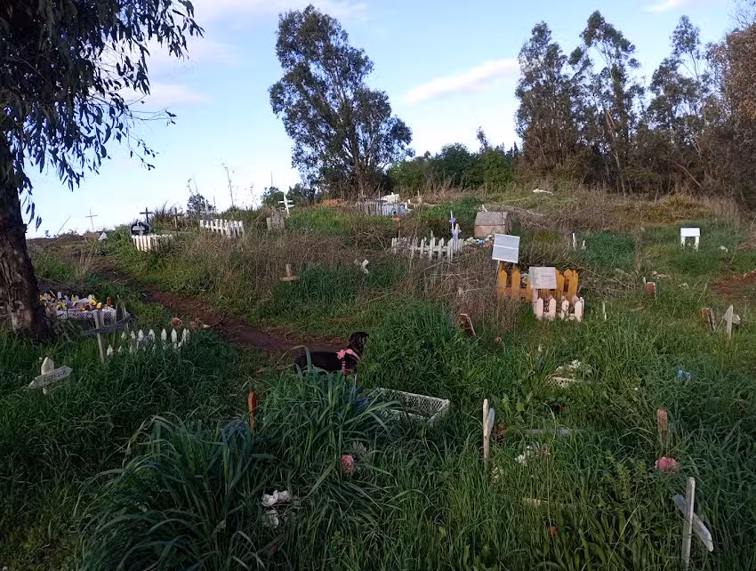 Cementerio Huellitas, Mulch&eacute;n