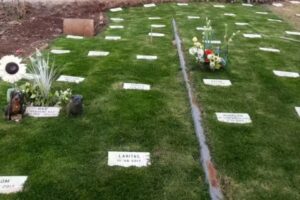 Cementerio y Crematorio de Mascotas Del Pilar