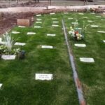 Cementerio y Crematorio de Mascotas Del Pilar