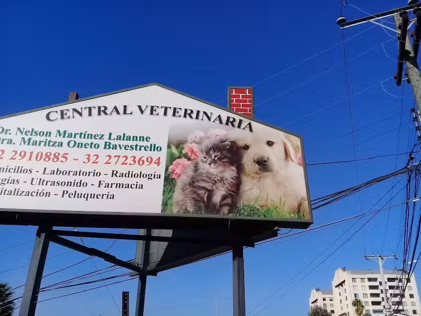Central Veterinaria Martinez Oneto