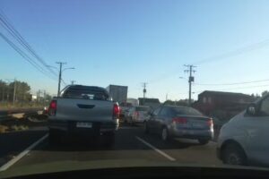 Centro canino ALejandro RIquelme cachorros venta