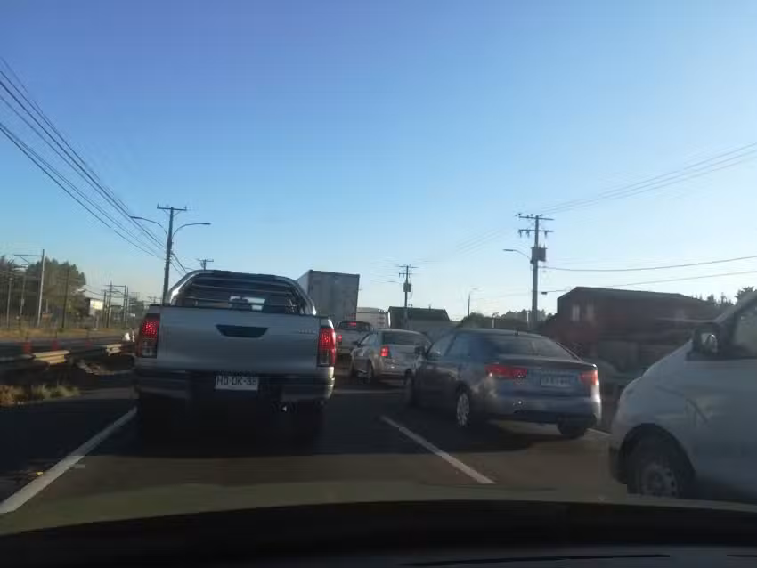 Centro canino ALejandro RIquelme cachorros venta