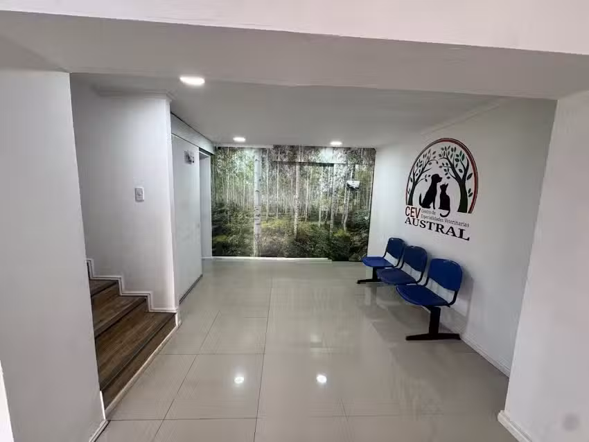 Centro de especialidades veterinarias Austral