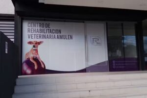 Centro de Rehabilitaci&oacute;n Veterinaria AMULEN
