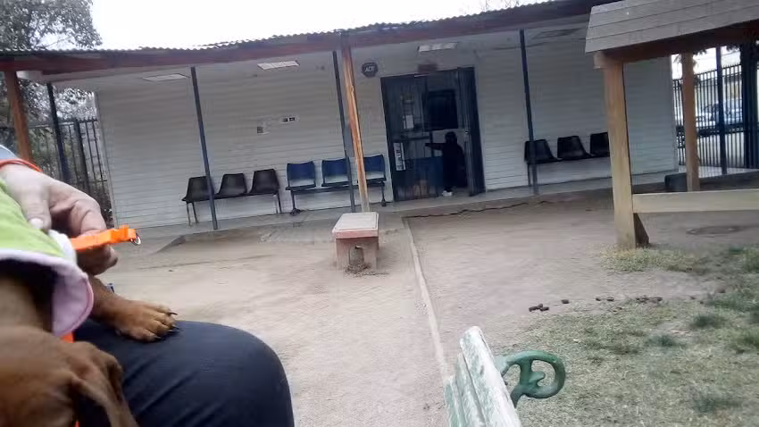 Centro de Salud Veterinaria El Roble de la Universidad de Chile