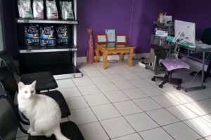 Centro M&eacute;dico Veterinario ALMA