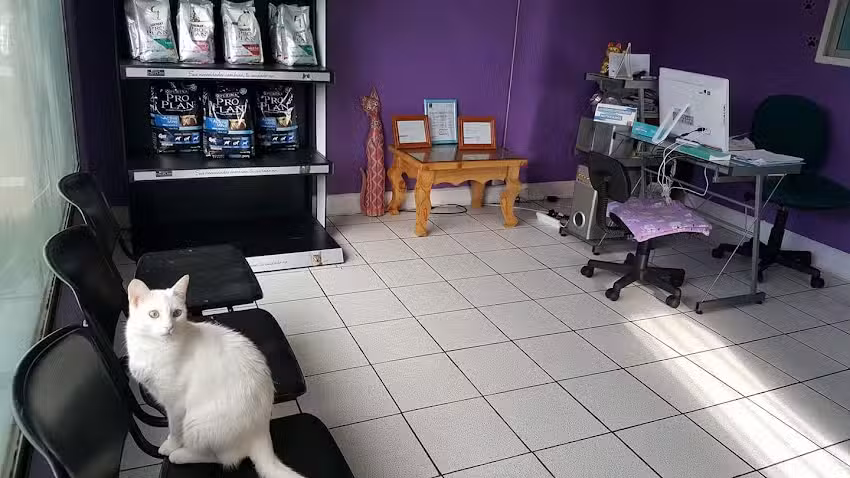 Centro M&eacute;dico Veterinario ALMA