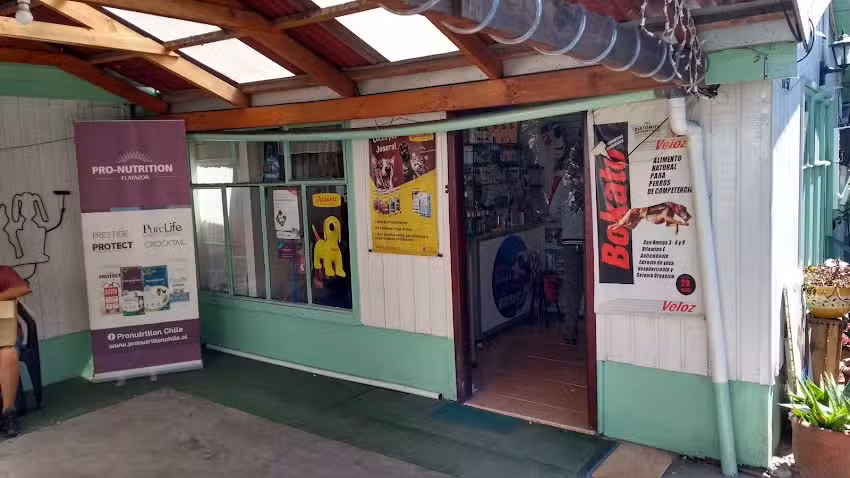 Centro medico veterinario concepcion