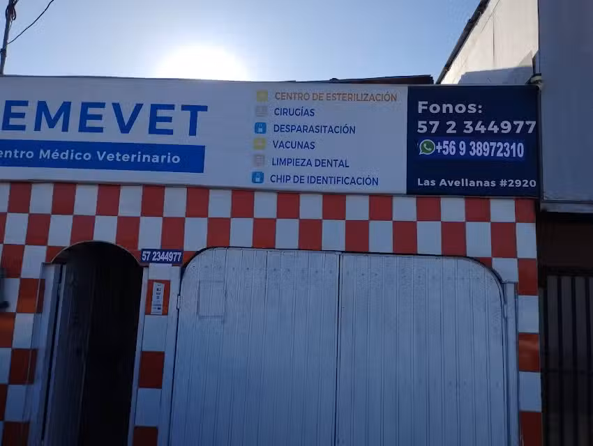 Centro M&eacute;dico Veterinario de Tarapac&aacute;