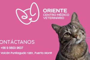 Centro M&eacute;dico Veterinario Oriente