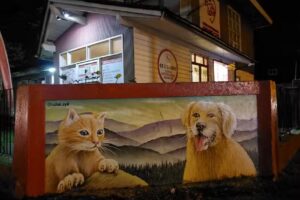 Centro M&eacute;dico Veterinario Reloncav&iacute;