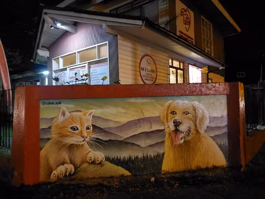 Centro M&eacute;dico Veterinario Reloncav&iacute;