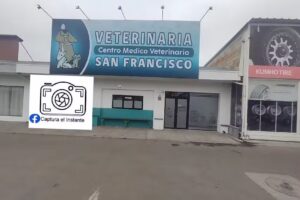 CENTRO MEDICO VETERINARIO SAN FRANCISCO SUCURSAL QUILLOTA