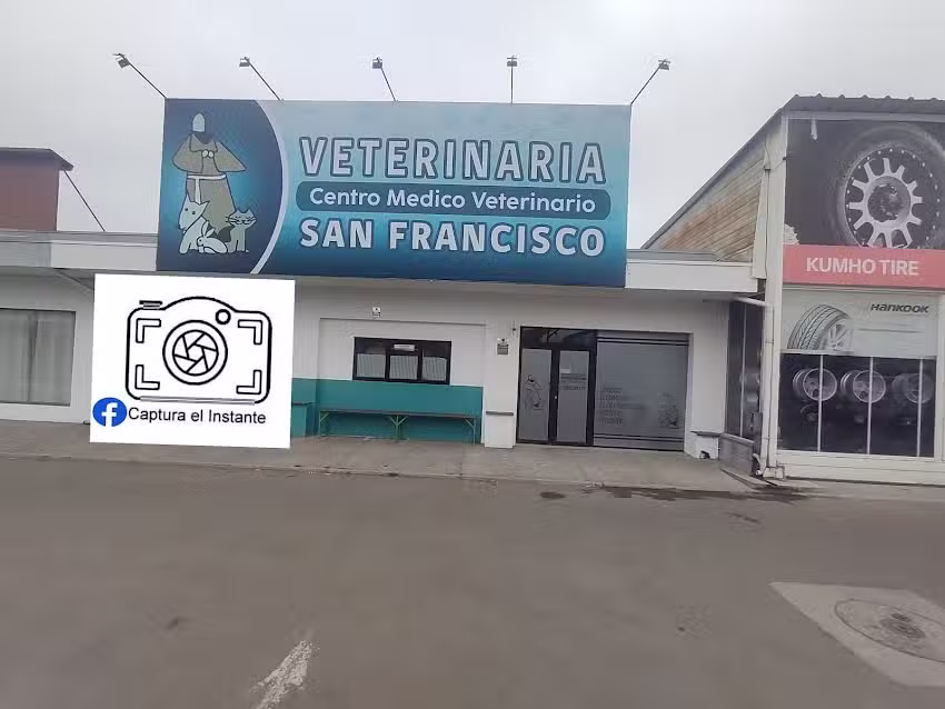 CENTRO MEDICO VETERINARIO SAN FRANCISCO SUCURSAL QUILLOTA