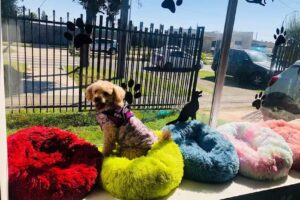 Centro Veterinario Agua de Temu