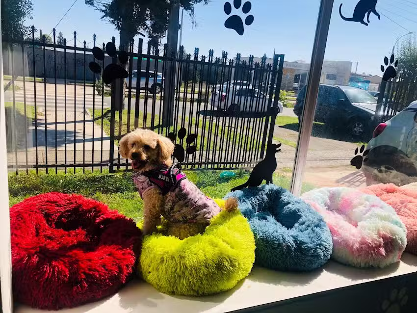 Centro Veterinario Agua de Temu