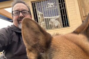 Centro veterinario Alcántara