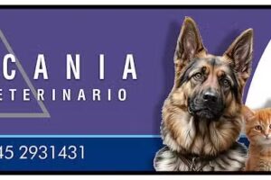 Centro Veterinario Araucan&iacute;a