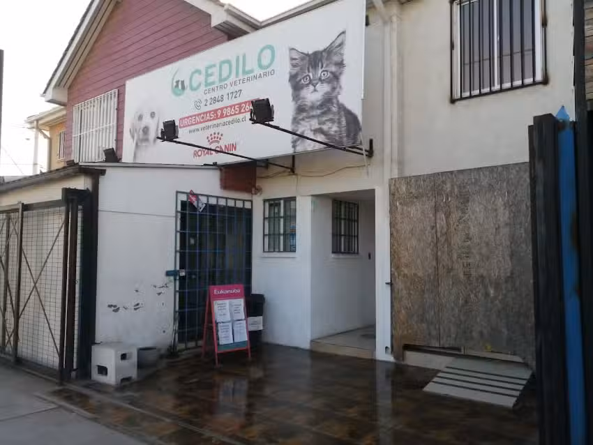 Centro Veterinario CEDILO Puente Alto
