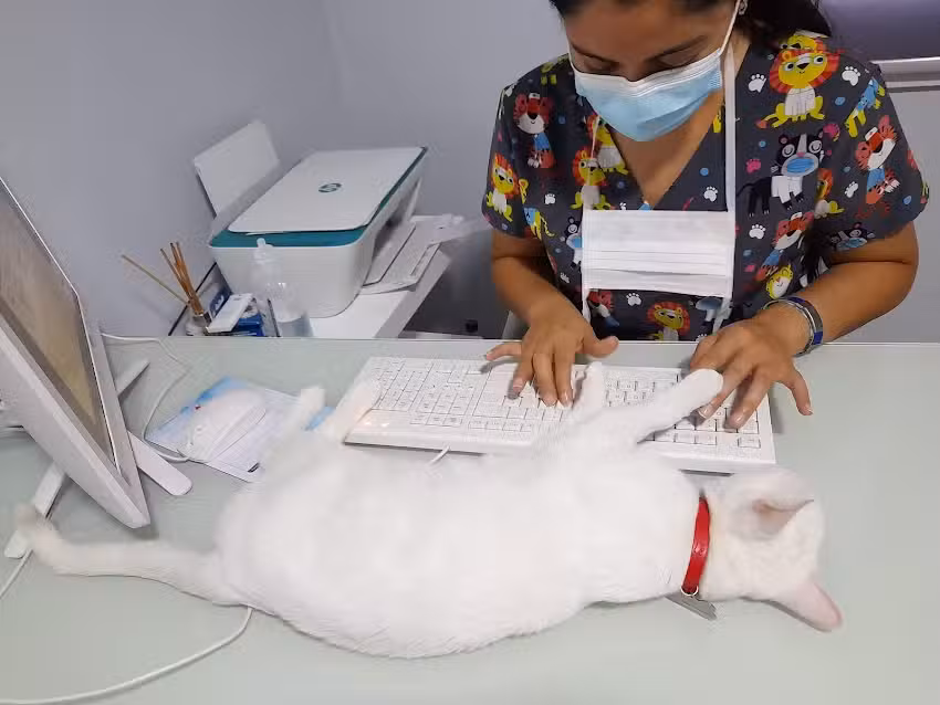 Centro Veterinario de Mascotas