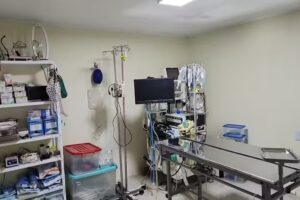 Centro Veterinario Libertad