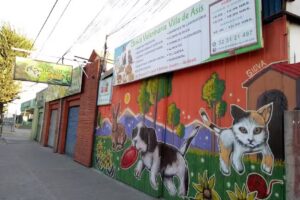 Centro Veterinario MinVet