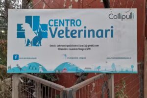 Centro Veterinario Municipal