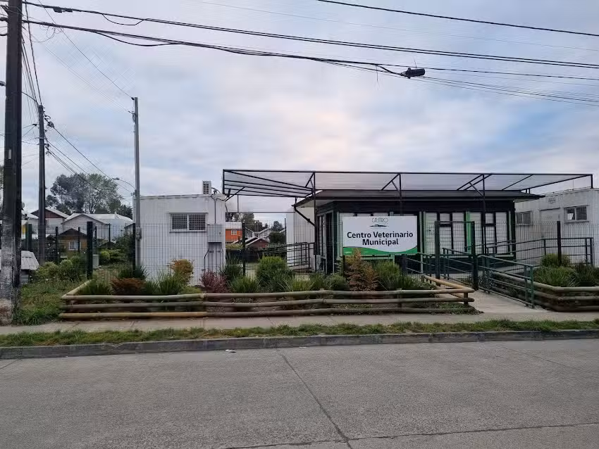Centro Veterinario Municipal