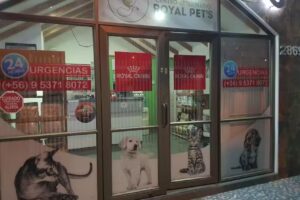 Centro Veterinario Royal Pets