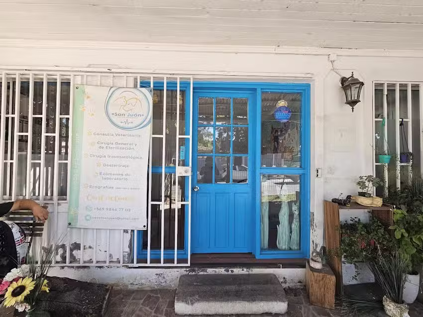 Centro Veterinario San Juan