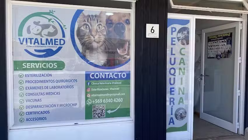Centro Veterinario Vitalmed- Sucursal Litueche