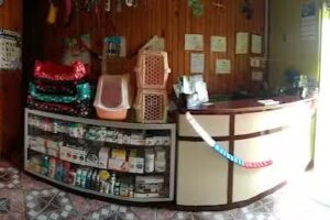 Centro Veterinario Yumbel