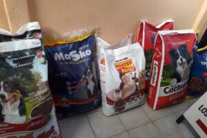 CLÁN PELUDITOS tienda alimentos para gatos, Perros, arenas sanitarias, accesorios para tu mascota, medicamentos preventivos.