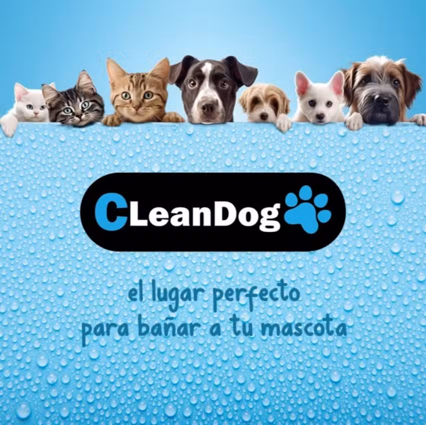 CLEANDOG