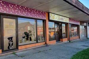 Cl&iacute;nica Estaci&oacute;n Mascotas