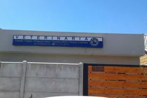 Clinica Hp-vet Veterinaria Rengo &ndash; Sucursal