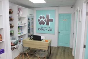 Cl&iacute;nica Ideal-Vet
