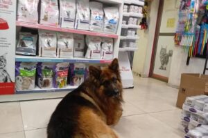 Clínica Nueva Salesianos