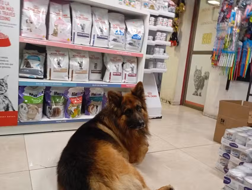 Cl&iacute;nica Nueva Salesianos