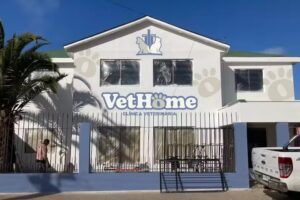 Cl&iacute;nica Vet-Home