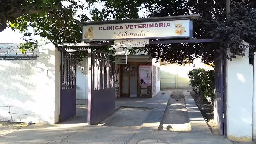 Cl&iacute;nica Veterinaria Alborada