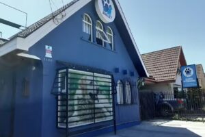 Cl&iacute;nica Veterinaria Aneley