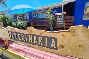 CLINICA VETERINARIA ANIMAL’S VET