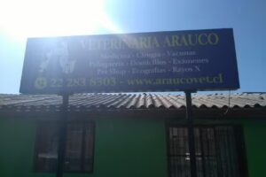 Cl&iacute;nica Veterinaria Arauco