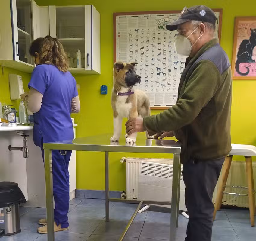 Cl&iacute;nica Veterinaria Arca del Puerto