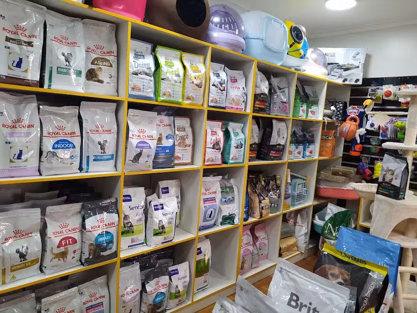 Cl&iacute;nica Veterinaria Arca Pet