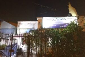 Clinica Veterinaria Area Sur