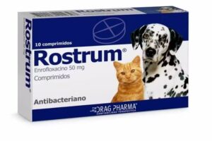 Clínica Veterinaria Avatar SPA